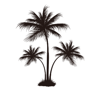 pngwing.com (2)